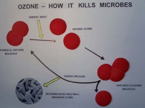 ozonegenerationchart.jpg